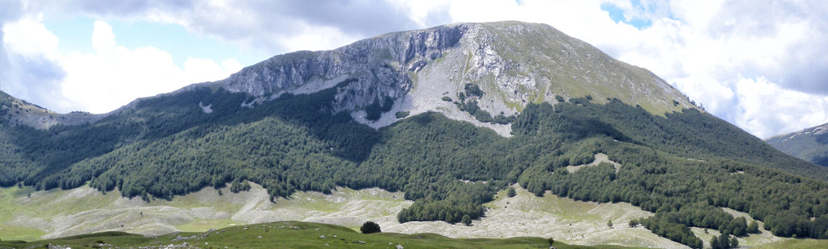 Conferenza Episcopale di Basilicata